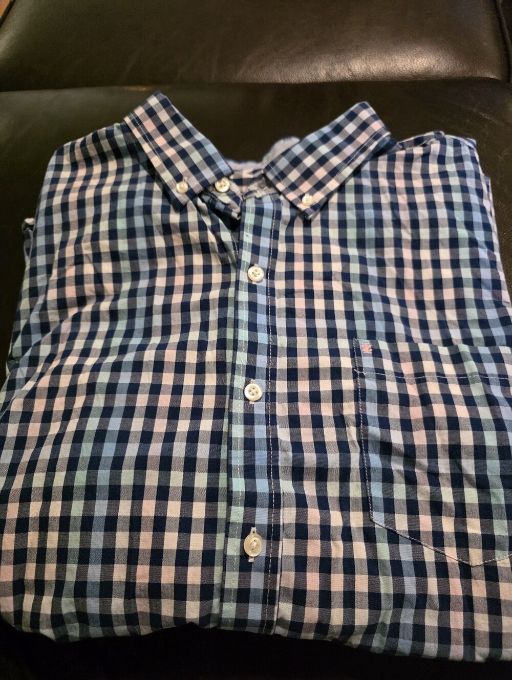 IZOD Men's Blue and White Gingham Button-Down Shirt
